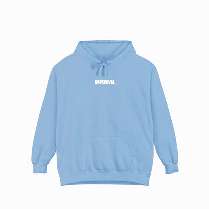 SKY BLUE OVERSIZED HOODIE "DTDR"